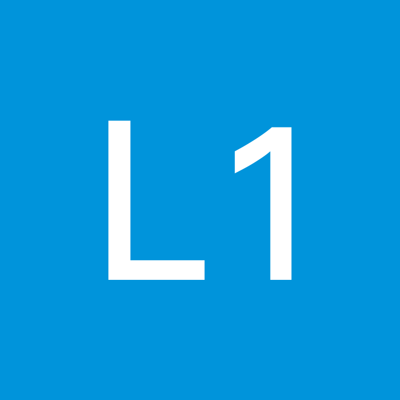 L1