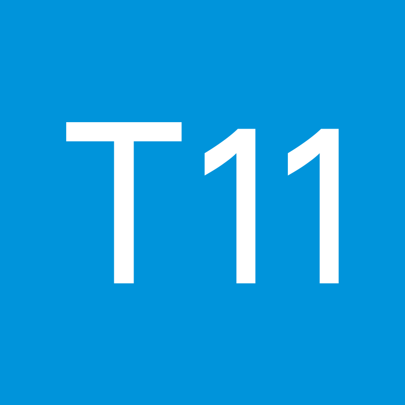 T11