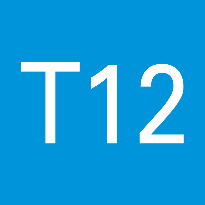 T12