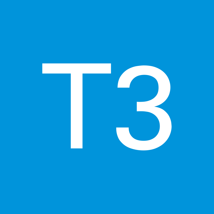 T3